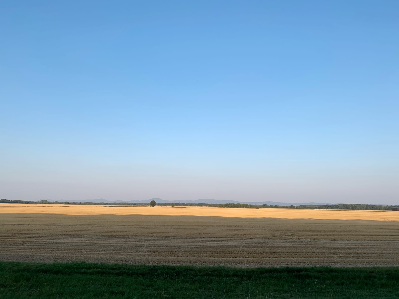 Spomienkové leto