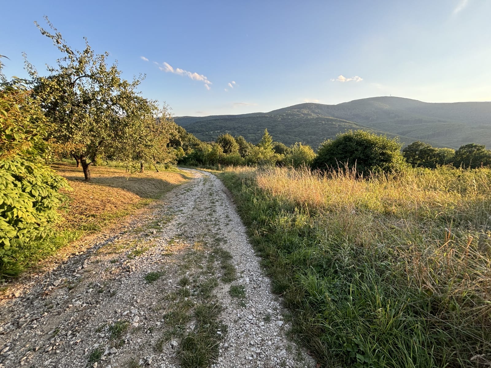 Čo august 2024 dal a vzal