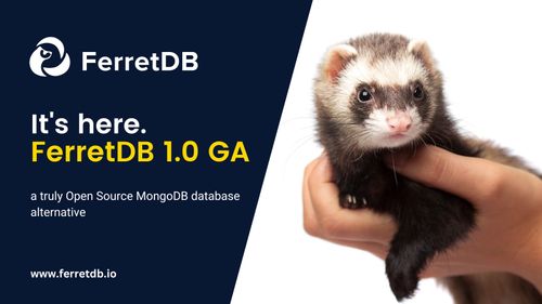 FerretDB ako open-source alternatíva k MongoDB